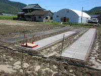 ��Ⱦ���ǰ���ʤ���̤�����ŷ���Ϥ����Ǥ��礦���� 