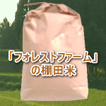 ե쥹ȥեμݥ˥Ǥ̵̵