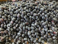 �ֻ��ס������ɡ��Ť�Ū�ˤϤ���ۤɤǤ�ʤ��� 