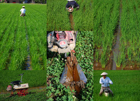 ��Ω�ơʹ��ڤ�� 