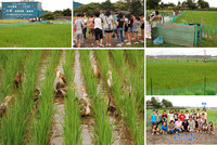 �����ˡ��ؤӤˡ��������������⻳������ˬ��ޤ��� 