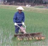 �������ʤ����Ĥ�ʤߤޤ��� 