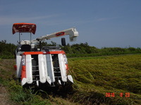 ���򴢤ꥳ��Х��� 