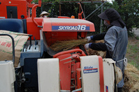 ���Ƥ�æ�� 