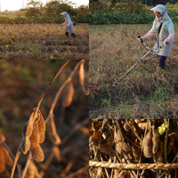 ��Ʀ�μ��� 