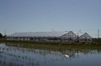 �ӥˡ����ĥ���ؤ� 