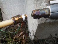 �ѥ��פ����졪 