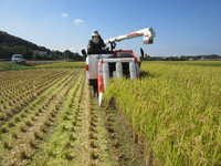 ��̣�Ϥɤ����ʡ� 