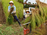 �����ä����Ƥ�ŷ������