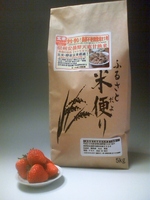 ǯȤ鷺ƿȯ긼ơƤᡪŷôŽơҥ(ݴԻѺ)