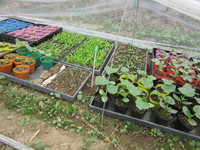 �᤯�礭���ʤ����졪 