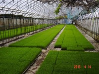 ���Ƥ��Ĥν���Ϫ�Ǥ��� 