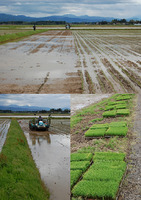 22ǯ���Ƥ��Ŀ������� 