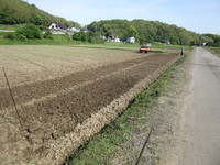 ����ľ������Τ˶�ϫ���ޤ��� 