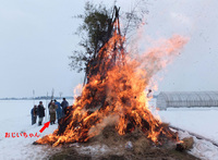 �����Υ��� 