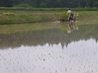 �Ŀ����� 