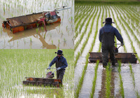 ���������ʵ�������� 