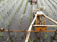 �������𣲲��� 