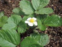 ���β֤Ǥ��� 