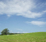 �Ƥ�����Ȫ 