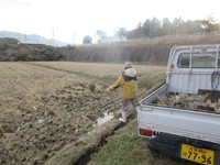 ���ä�����ϫƯ�� 