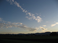 ����ͼ�� 