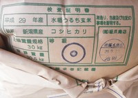 �����ҥ��ꡡ1���� 