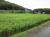 ���ʤ��椬�¤äƤ��ޤ����� 