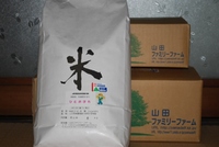  ҥ 7ǯǧ̺ơعݴԻ,ͭ100%ǹߡ