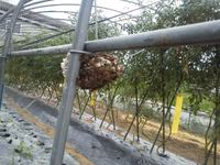 �ϥ�����3 