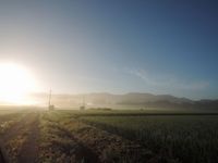 ������뤯�ʤ롪 