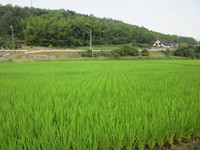 ���Ȥ�λ���˭��Ǥ��� 