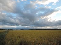 �����Ⱬ���������� 