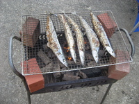 ���ϥ���ޤǤ��� 