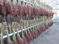 �������Ӵ����� 