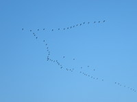 ͼζظäơη줬ĤνĤʬơǹԤäΦصϤ᤿ΤǤ 