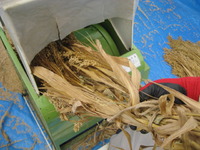 ­Ƨ��æ�򵡤ǻ����æ�� 