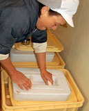 20kg�ν��Ф�褻���ԤĤ���2���� 