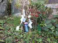 ������ȸ�ʿ���ż�Ǥ� 