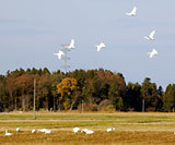 ��Ļ������ 