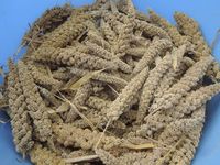 ���������Ǥ��� 