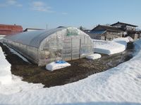 ��ǯ����򤱤��ᤤ�� 