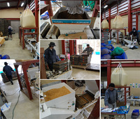 �����ޤ���� 