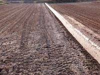 ���֤��ʷ̤ͤ�ˤ��Ĵ�Ǥ��� 