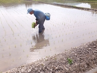 ����ʤ��Ƥκ�ȤϿ��Τˤ��ޤ��� 