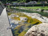 ������������������������Ǯ�ʤΤ�����ޤ��� 