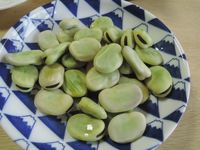 ��ǯ�Τ���Ʀ 