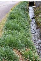 ��ǯ�����������ꤤ�������ޤ��� 