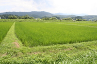 ǯοƤνв٤9ܤͽǤ 