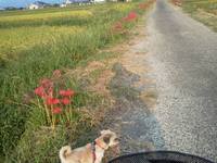 �������Ż��ι�֤�˥�äƸ��λ���Ǥ��� 